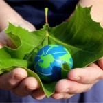 Strategies For Going Green At Home