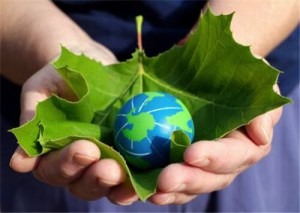 Strategies For Going Green At Home