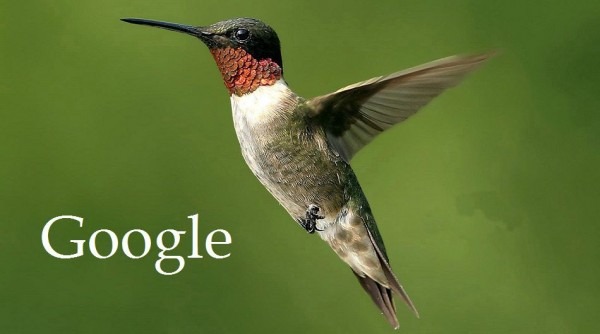 Ce trebuie sa stii despre algoritmul Hummingbird?