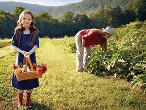 Organic farm - an idea of a successful business