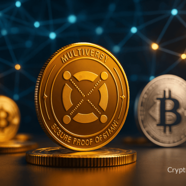Care sunt principalele caracteristici ale blockchain-ului MultiversX?